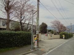 秋津小学校