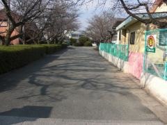 筑後小学校