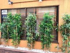 中国菜庵・鳴