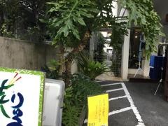 りゅう菜