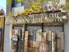 ｏｎ・ｔｈｅ・ｌｅａｆ