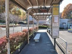 「創価大学栄光門」バス停留所