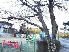 階上保育所