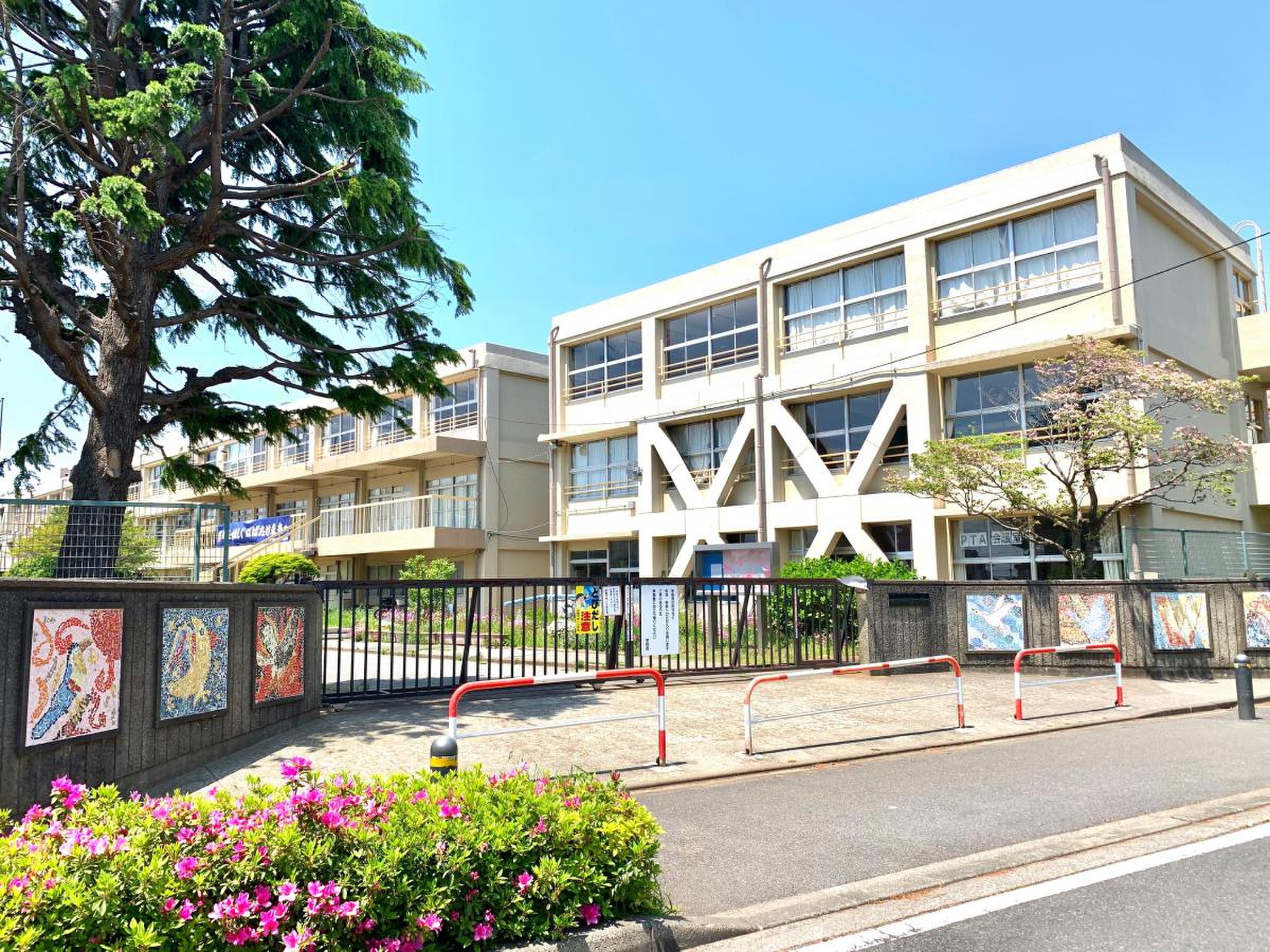 活動歴および当時の関連ビジュアル記録