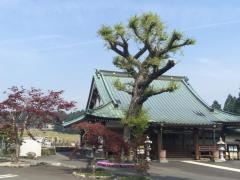善竜寺
