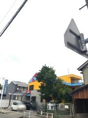 中川犬猫病院