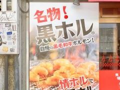情熱ホルモン　桜川酒場