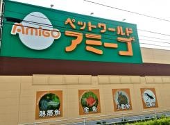 アミーゴ　一関店