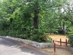 どんぐり緑地