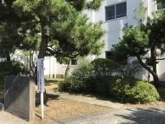 新潟市立白新中学校