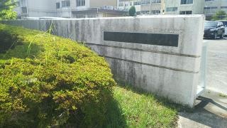 相野山小学校