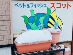 ペット＆フィッシュスコット