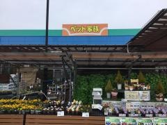 ペット家族稲城押立店