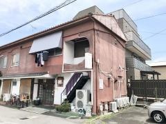 紫苑