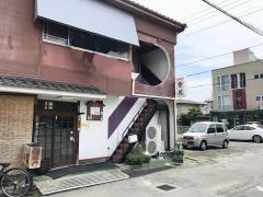 紫苑