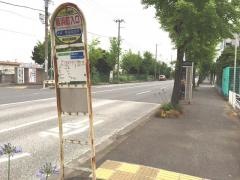 「鳥浜町入口」バス停留所