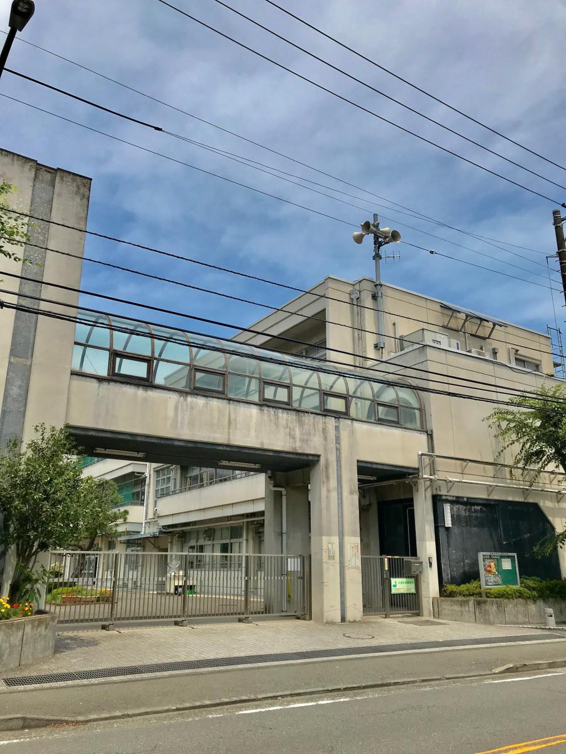 公の場での発言・インタビュー報道記録
