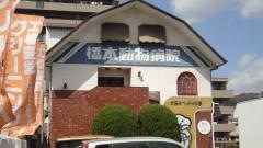 橋本動物病院