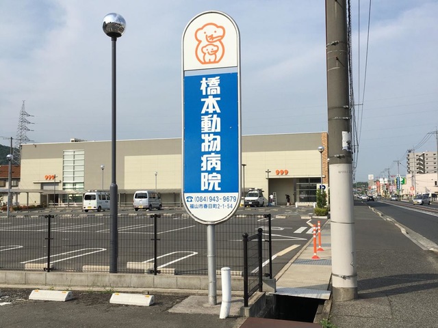 投稿写真4