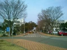 東邦大学　習志野キャンパス