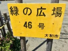緑の広場46号