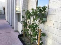 一木皮膚科