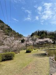「朝倉ダム」バス停留所