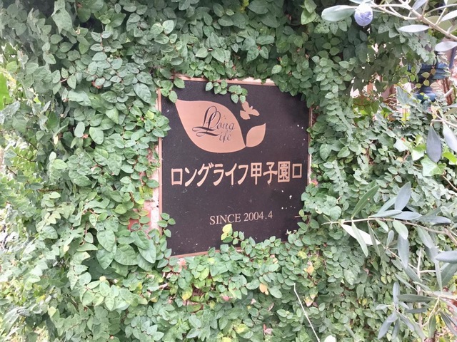 施設名称