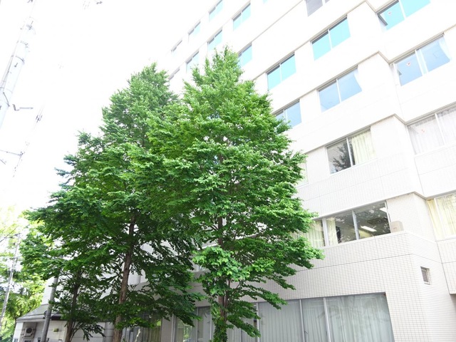 丸の内ヒルズ