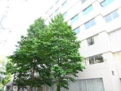 丸の内ヒルズ