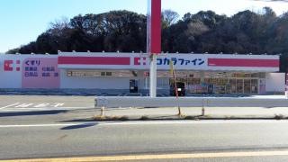 ココカラファイン南知多店