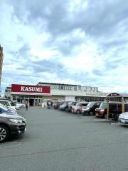 カスミ 柏たなか駅前店
