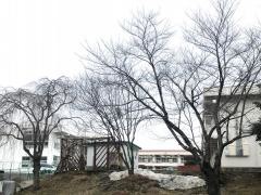 沼宮内小学校