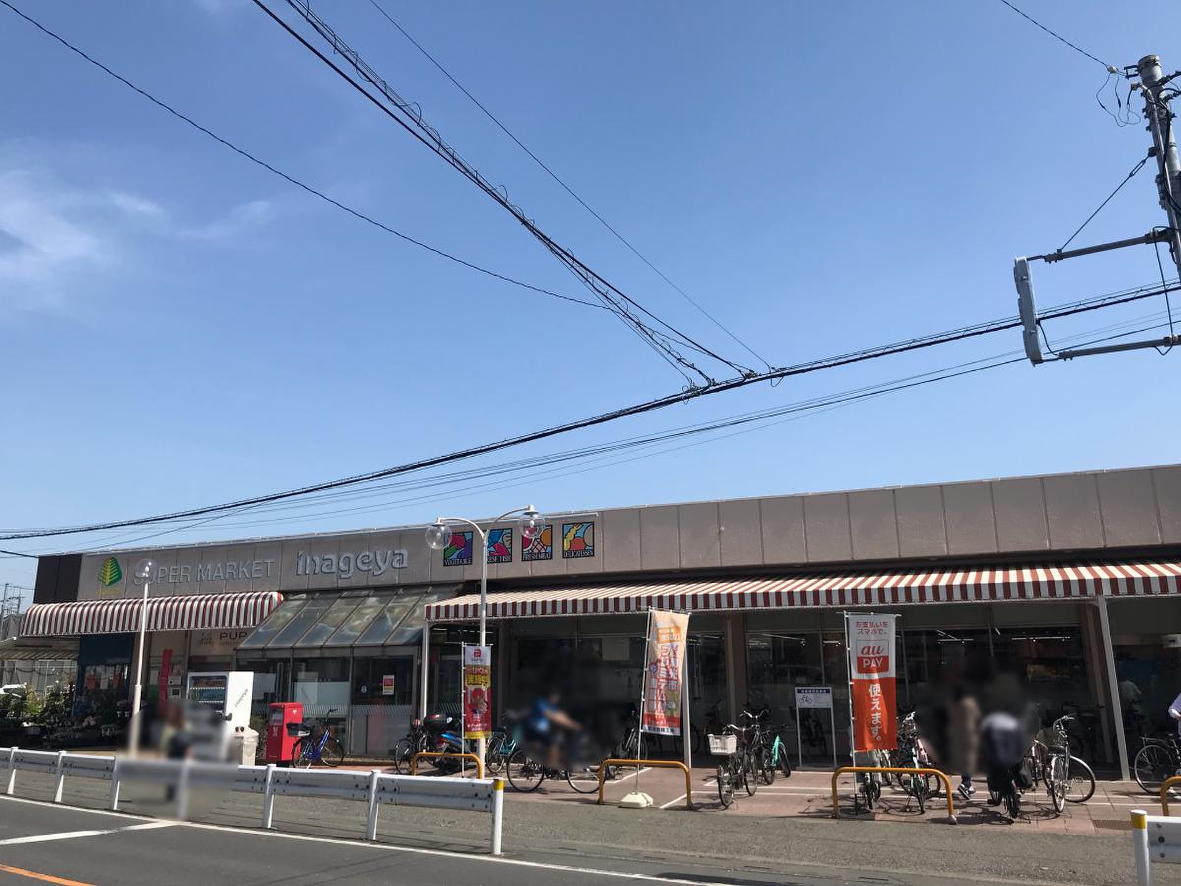活動歴および当時の関連ビジュアル記録