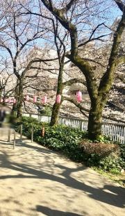 神田川河畔