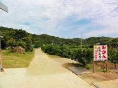 平岡農園