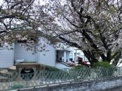 島田保育園