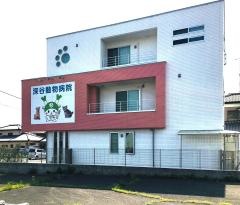 深谷動物病院