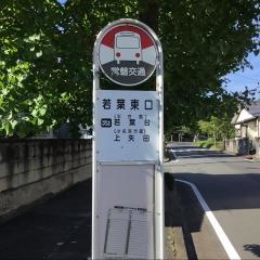 「若葉東口」バス停留所
