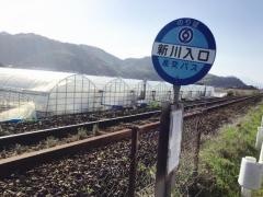 「新川入口」バス停留所