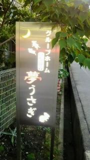 いなばの夢うさぎ