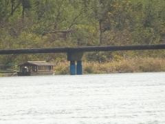 四万十川と西土佐大橋