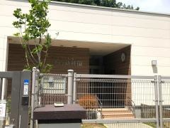 深信幼稚園