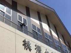 桃源台ビューレストラン