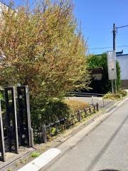 奥住内科循環器科クリニック