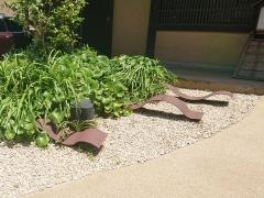 汀邸遠音近音