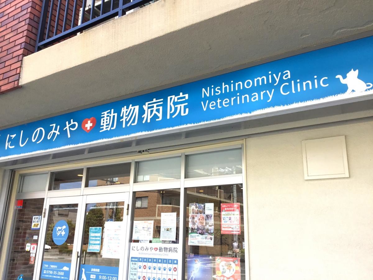 にしのみや動物病院