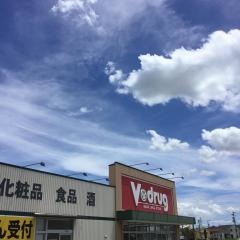 Ｖ・ｄｒｕｇ　豊川南店