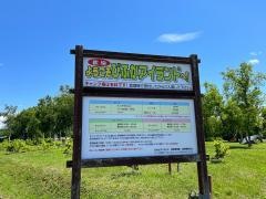 森林公園びふかアイランド