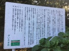 駒場緑地